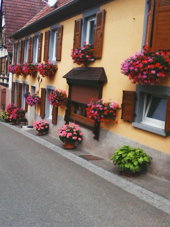 Relais De La Diligence Romanswiller